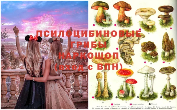 круглые Абаза