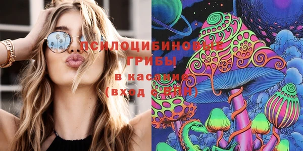 круглые Абаза